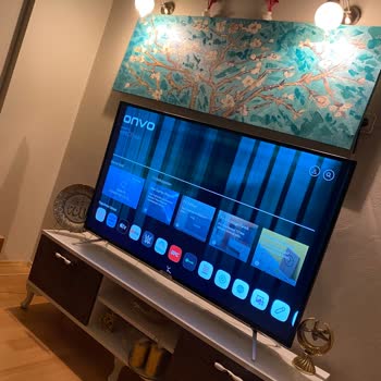 Onvo TV Birgünlük TV Arızası