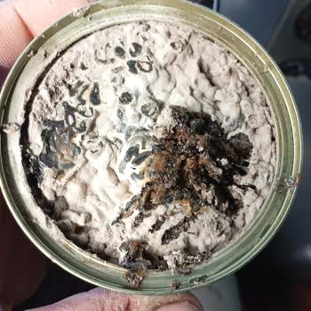 Dardanel Tuna Salata Bozuk Çıktı.