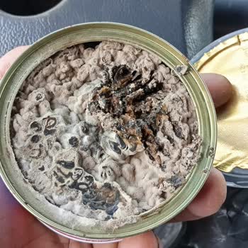 Dardanel Tuna Salata Bozuk Çıktı.