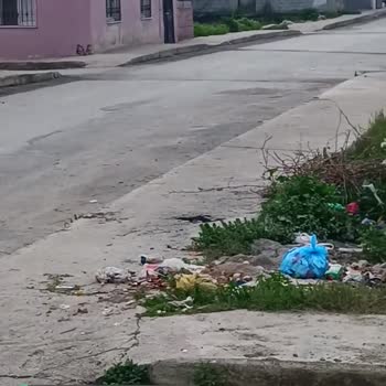 Tarsus Belediyesi Çöp Konteyneri Sorunu