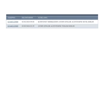 Kuryenet Kurye Şubesinin Müşteri İletişim Ve Teslimat Problemleri