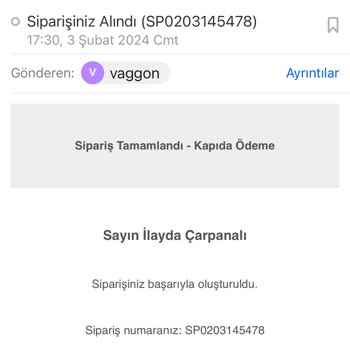 Vaggon Sitesinin Kargo Sorumsuzluğu