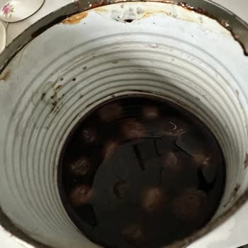 Öncü Salça Öncü Zeytin Kutuları