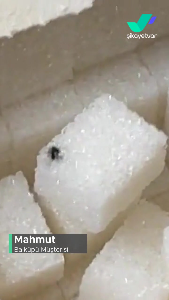 Balküpü Fiyat Yükseldikçe Kalite Hizmet Düşüyor.! videonun kapak resmi