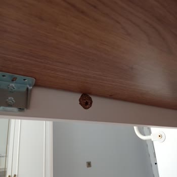 İstikbal Çocuk Odası Ranza