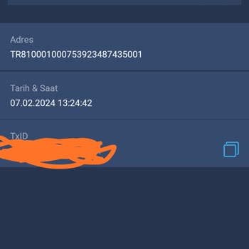 Bitexen Hesabımdaki İşlem Gecikmesi Ve Müşteri Hizmetleri Erişim Sorunu