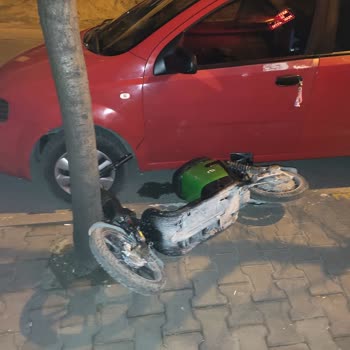 Martı Scooter Aracıma Çarptı