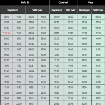 Denizli Belediyesi 381 Numaralı Hat