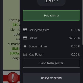 Fehlende Rückerstattung und Identitätsprobleme bei Restbet