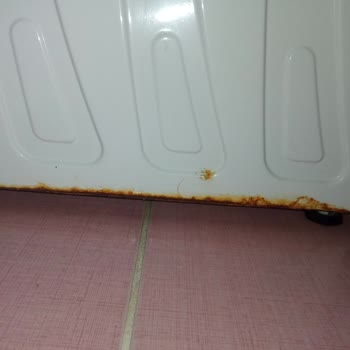 Regal Evimde Uçmaya Hazır Bir Çamaşır Makinesi Var Gelin Alın Hurda'nızı