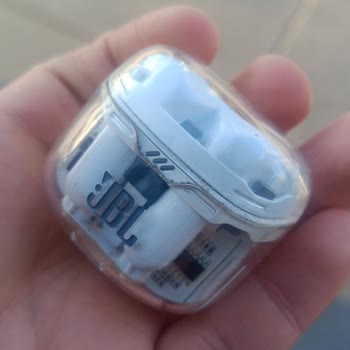 JBL Tune Flex Ses