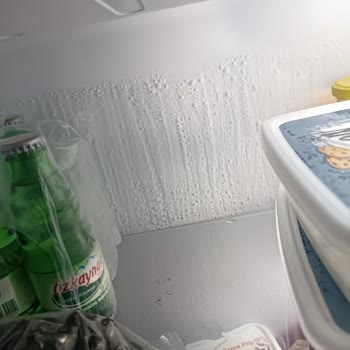 SEG Markalı Buzdolabı Soğutucu Kısmı Buz Tutuyor