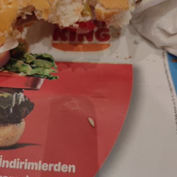 Burger King Hamburgerden Çıkan Cisim