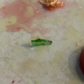 Green Salads Yediğim Yemekten Cam Çıktı