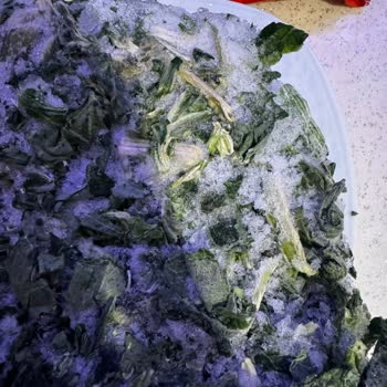 Bozuk Ürün Superfresh Ispanak