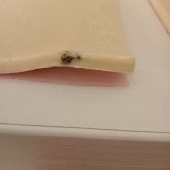 SuperFresh Sürpriz Karşılaşma: Milföyde Beklenmedik Misafir