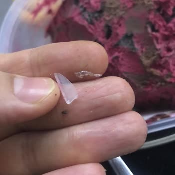 Carte d'Or Carte Door Dondurma İçinde 3 Tane Plastik Parçaları Çıktı