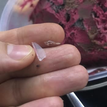 Carte d'Or Carte Door Dondurma İçinde 3 Tane Plastik Parçaları Çıktı