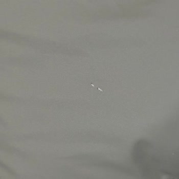 Zara Mont İnditex Marka Şikayeti