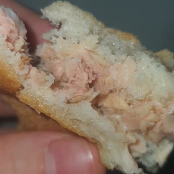 Dardanel Ton Balığında Sert Cisim Çıktı