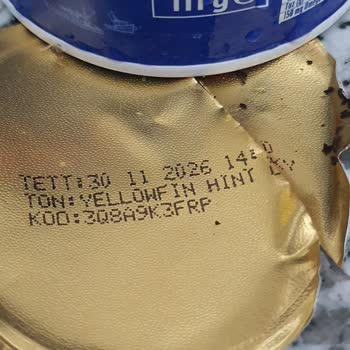 Dardanel Ton Balığında Sert Cisim Çıktı