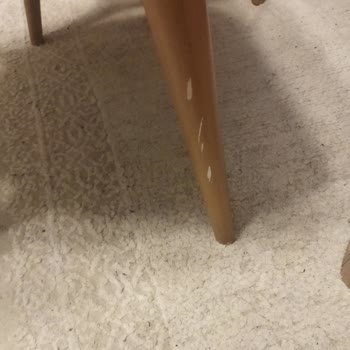 İstikbalde Kırık Salon Sandalye Takimi