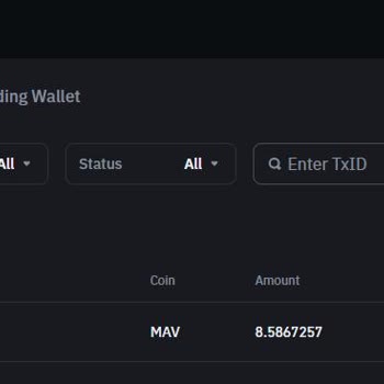 Bybit'ten Binance'e Transfer Sorunu