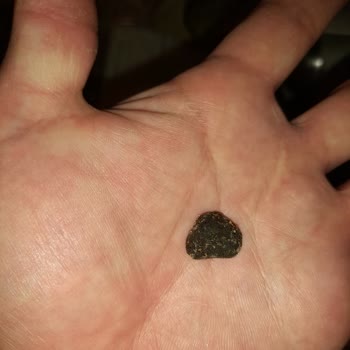 Tadım Kapalı Paket Ürününde İstenmeyen Yabancı Madde