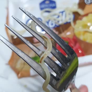 Berona Noodle Hamurunda Bir Şey Var