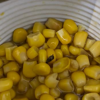 Yurdum Konserve Mısır İçinden Böcek Çıktı