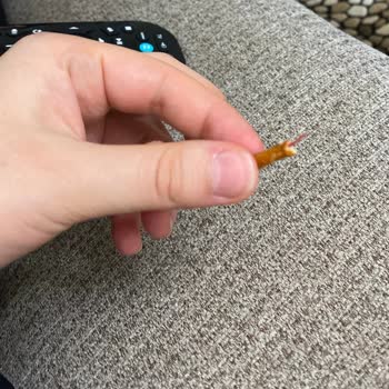 BİM Kırınkıl Çubuk Krakerden İp Çıktı