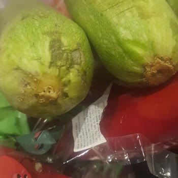 A101 Kapıda Kötü Bir Kurum