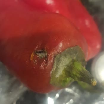 A101 Kapıda Kötü Bir Kurum