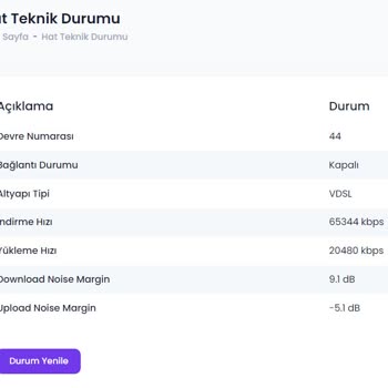Nedspeed Sürekli İnternet Kesintisi