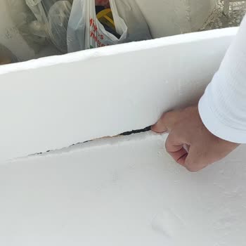 Balıkhanem Bayat Ve Kokmuş Balık Satıyorlar