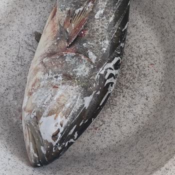 Balıkhanem Bayat Ve Kokmuş Balık Satıyorlar