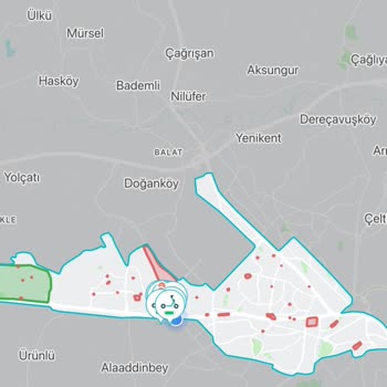 BinBin Kiralama Deneyimim: Beklenmedik Sorunlar