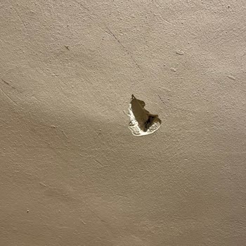 Evgör Mobilya Hata Sorumluluğu Almıyor