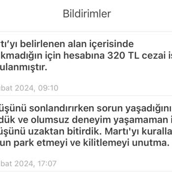 Martı 320 TL Ceza