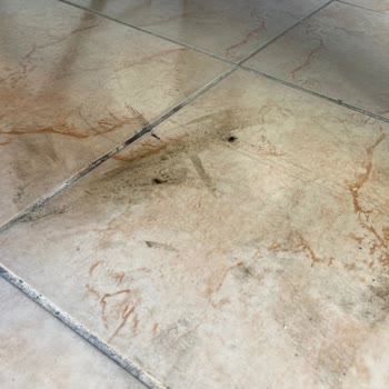 Hero Motosiklet Servis Sonrası Yağ Akıtan Motor Ve Kalitesiz Hizmet