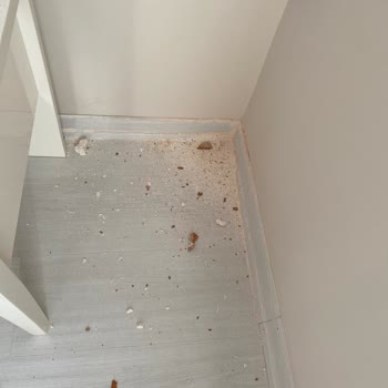 Vestel Klima Servisindeki Eksiklikler