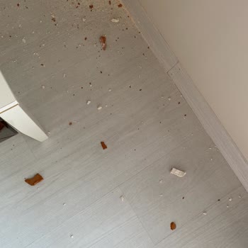 Vestel Klima Servisindeki Eksiklikler