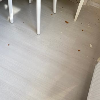 Vestel Klima Servisindeki Eksiklikler