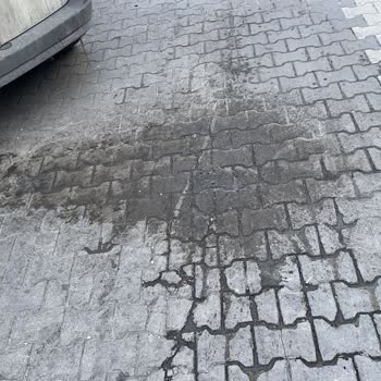 İBB - İstanbul Büyükşehir Belediyesi Çöp Konteyneri Pis Suyu Ve Yer Değişimi