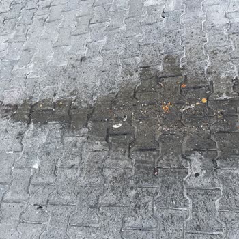 İBB - İstanbul Büyükşehir Belediyesi Çöp Konteyneri Pis Suyu Ve Yer Değişimi