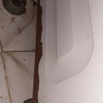 Arçelik Çamaşır Makinesi Çürüme 3.5 Yılda