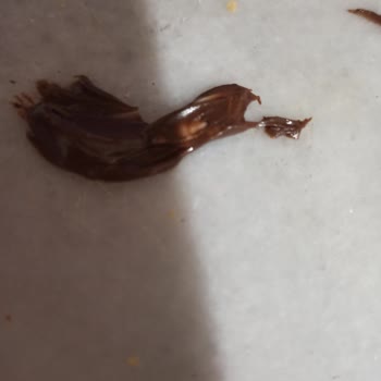 Cebel Marka Fındık Parçacıklı Çikolatanın İçinden Sert Plastik Çıkması