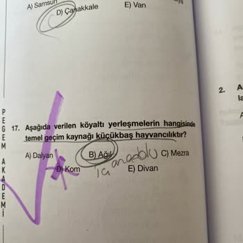 Pegem.net Cevap Anahtarı Yanlış