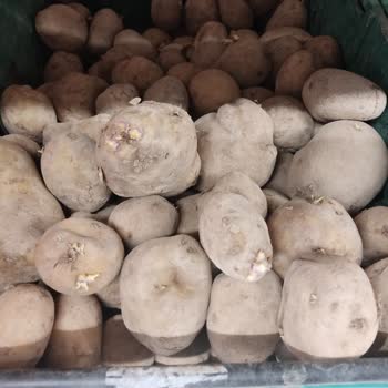 A101 Domates Kıvamında Patates