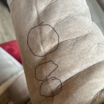 Network Deri Mont Zulmü